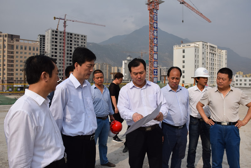 李東新調研市龍江公司項目建設工作