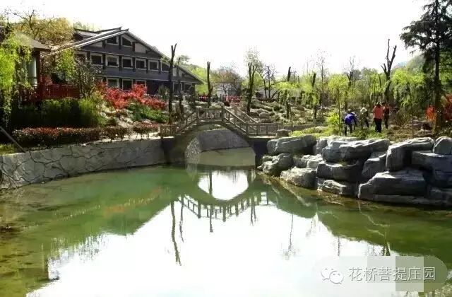 這個周末，隴南康縣花橋有大事要發生？