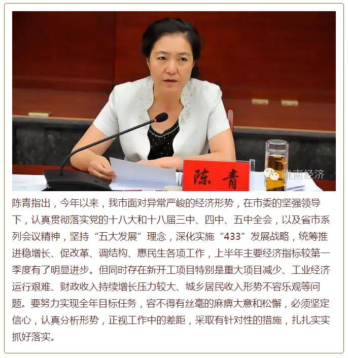 陳青在市政府全體會議上強調：緊盯一個目標抓好九大任務落實強化三項保障，確保全市經濟社會持續快速發展