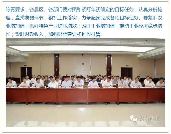 陳青在市政府全體會議上強調：緊盯一個目標抓好九大任務落實強化三項保障，確保全市經濟社會持續快速發展