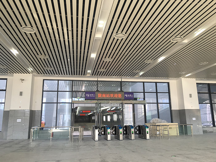 全國、省市政協委員體驗蘭渝鐵路、視察階州廣場