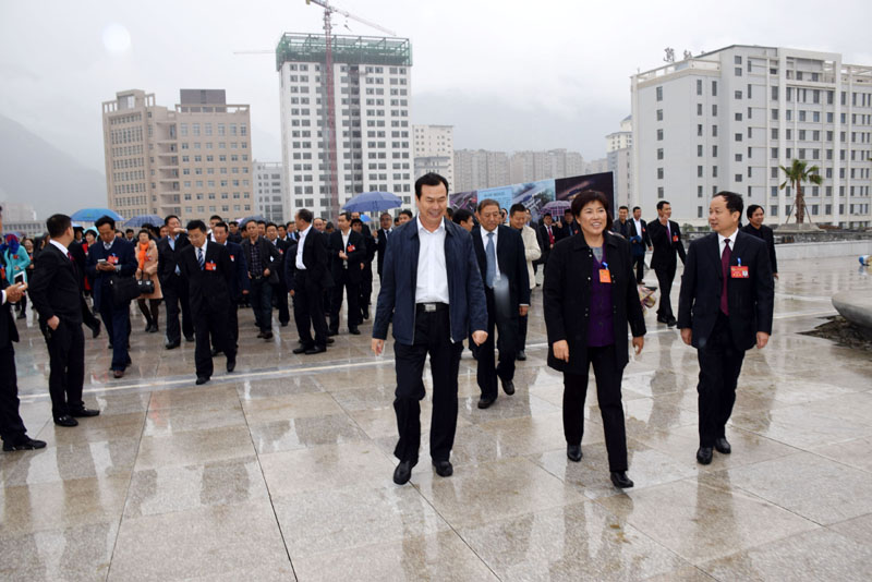 政協隴南市第四屆委員會第一次會議委員參觀階州廣場