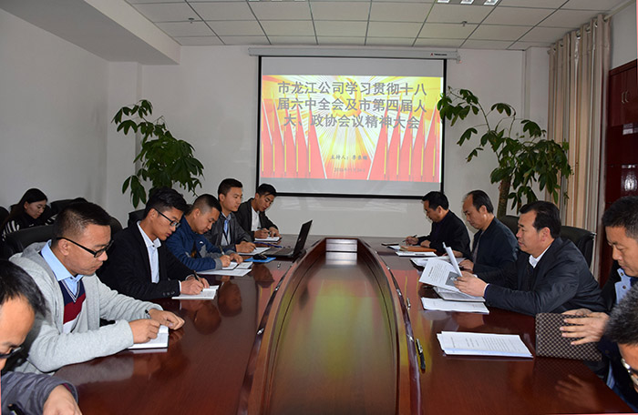 市龍江公司召開(kāi)全體員工大會(huì)，專題傳達(dá)學(xué)習(xí)上級(jí)會(huì)議精神