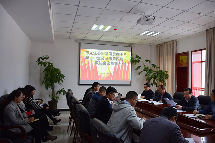 市龍江公司召開(kāi)全體員工大會(huì)，專題傳達(dá)學(xué)習(xí)上級(jí)會(huì)議精神