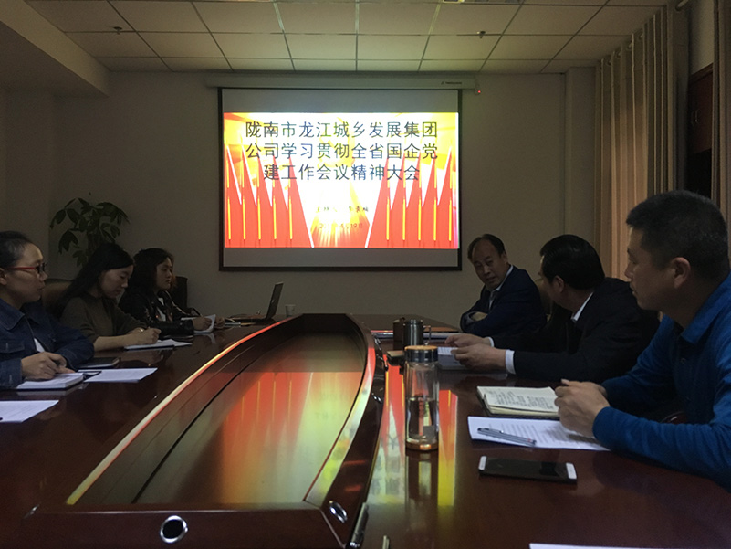 市龍江城鄉發展集團公司召開全省 國有企業黨的建設工作會議精神學習會議