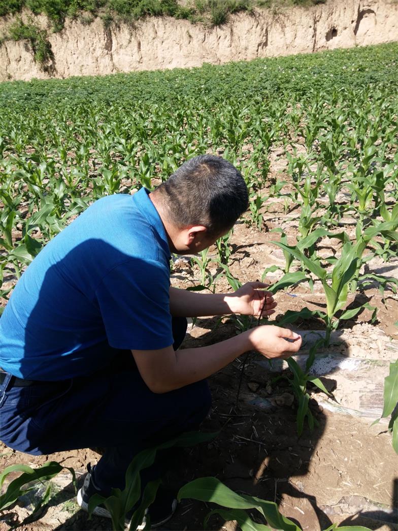 市龍江城鄉發展集團深入幫扶村開展突出問題排查整改落實工作