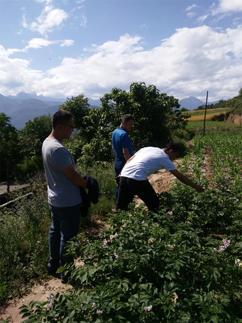 市龍江城鄉發展集團深入幫扶村開展突出問題排查整改落實工作