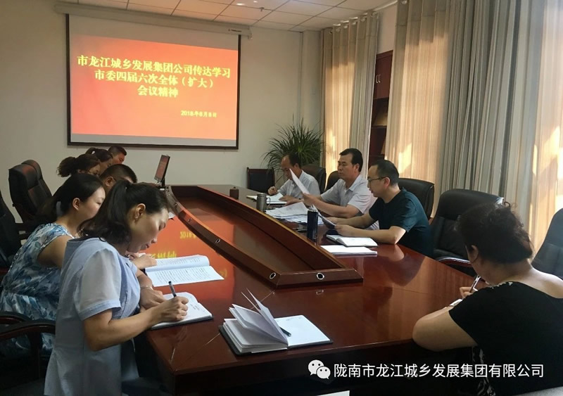 市龍江城鄉發展集團公司傳達學習市委四屆六次全體(擴大)會議精神