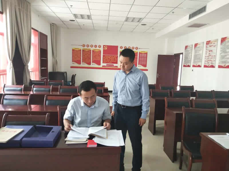 市委黨的建設工作第六督查調研組督查指導市龍江城鄉發展集團公司黨建工作