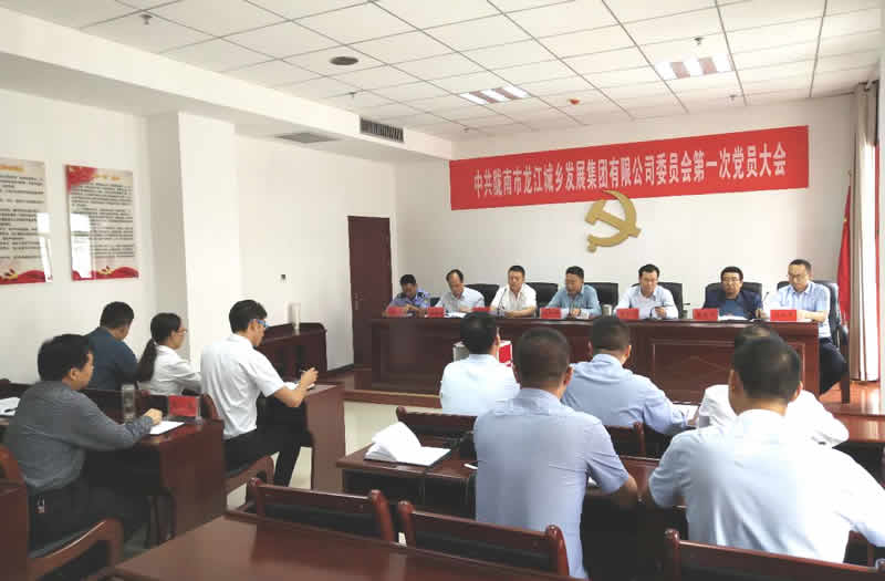 中國共產黨隴南市龍江城鄉發展集團有限公司委員會第一次黨員大會勝利召開