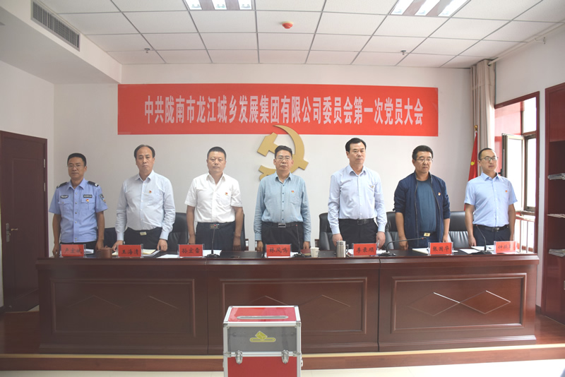 中國共產黨隴南市龍江城鄉發展集團有限公司委員會第一次黨員大會勝利召開