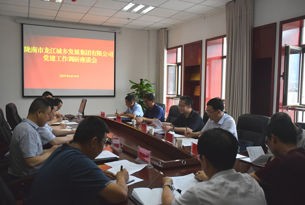 隴南市委常委、組織部部長楊郃調研指導市龍江城鄉發展集團公司黨建工作