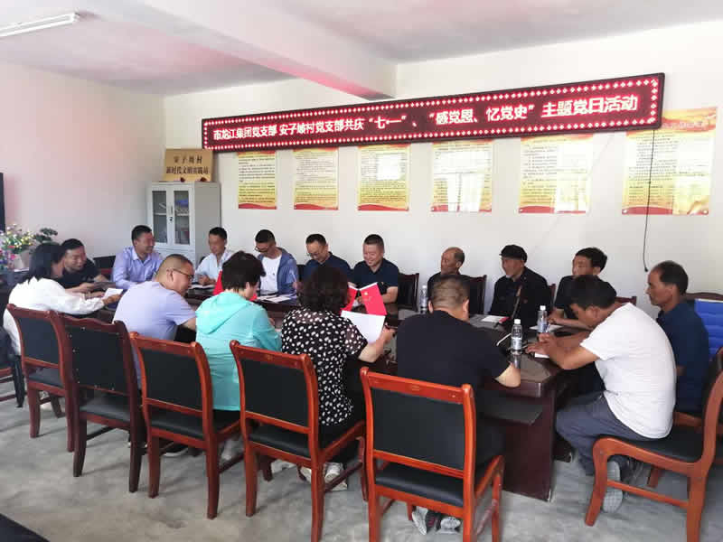 “感黨恩、憶黨史”，--市龍江城鄉發展集團公司開展慶祝建黨99周年主題黨日活動