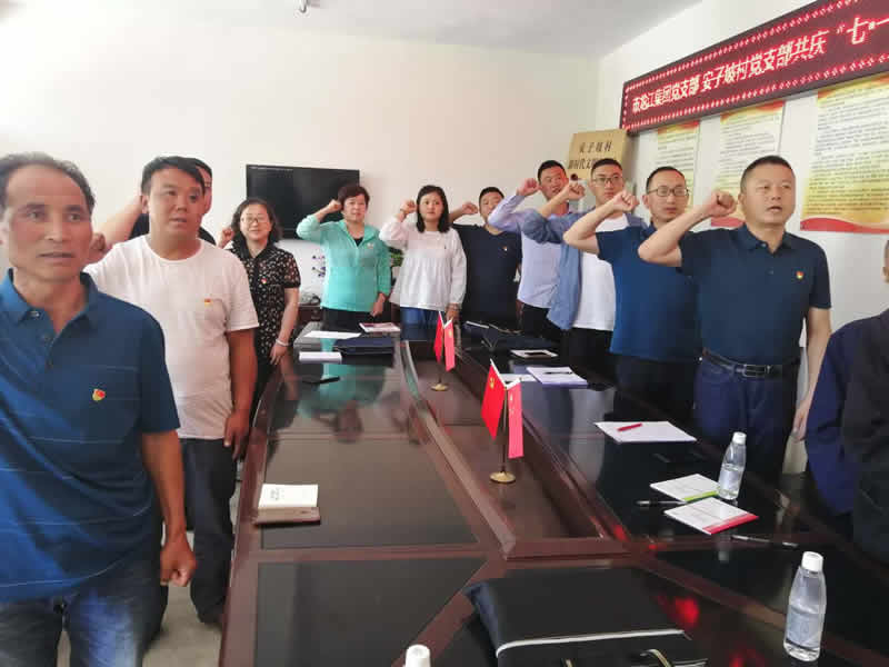 “感黨恩、憶黨史”，--市龍江城鄉發展集團公司開展慶祝建黨99周年主題黨日活動