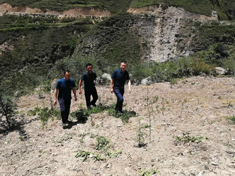 “感黨恩、憶黨史”，--市龍江城鄉發展集團公司開展慶祝建黨99周年主題黨日活動