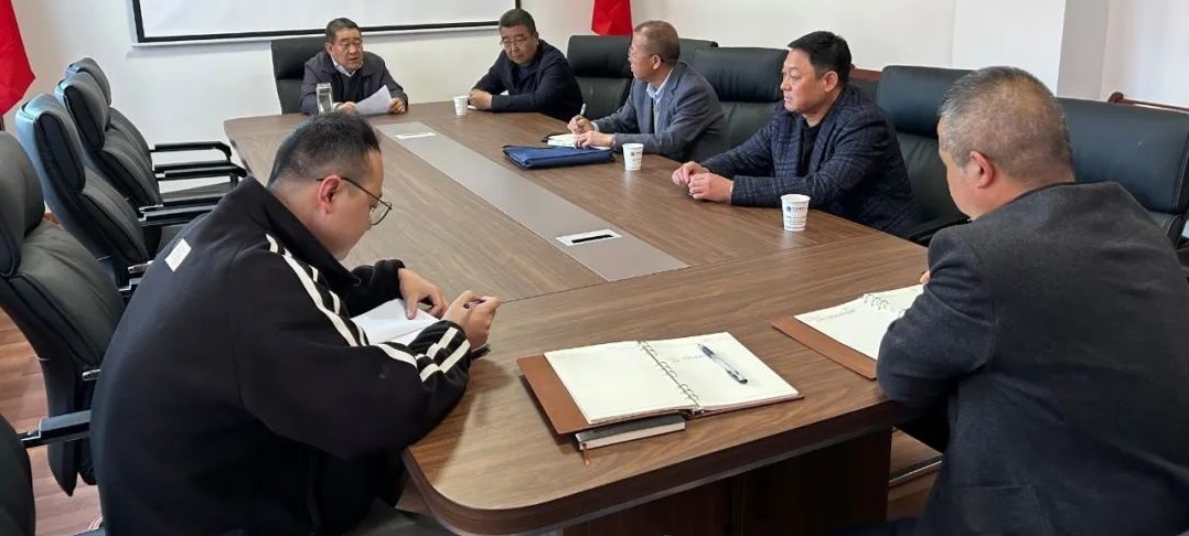 【“三抓三促”行動進行時】市龍江城鄉集團召開重點項目專題推進會