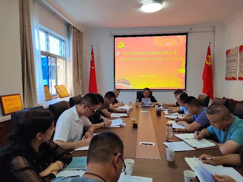 【“三抓三促”行動進(jìn)行時】 市龍江城鄉(xiāng)集團有限公司召開黨委理論學(xué)習(xí)暨三抓三促學(xué)習(xí)會議